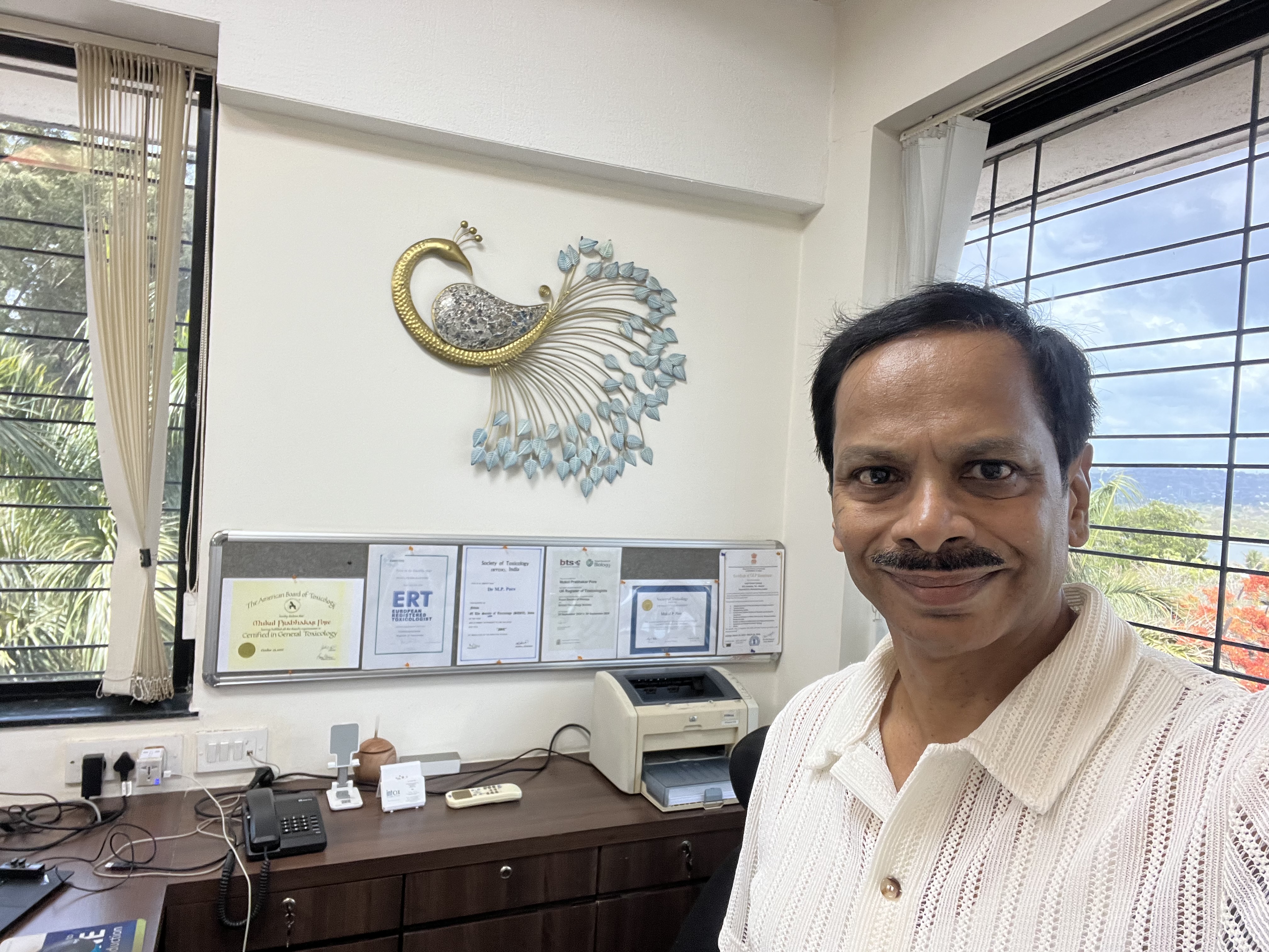 Mukul P